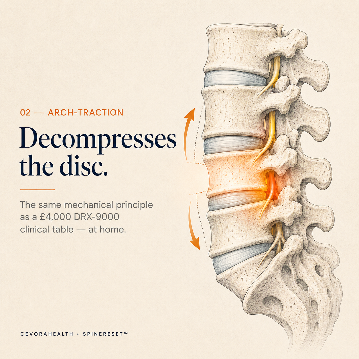 The SpineReset™